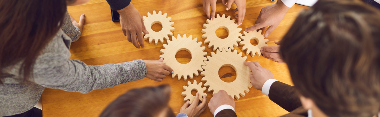 corso executive professione sostenibilita